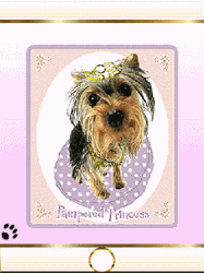 pic for dogs princess